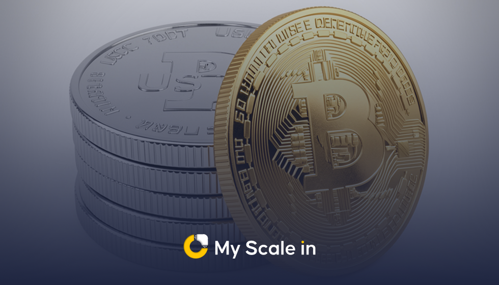 USDC vs. USDT: Which Stablecoin Should You Use in 2026? My Scale In